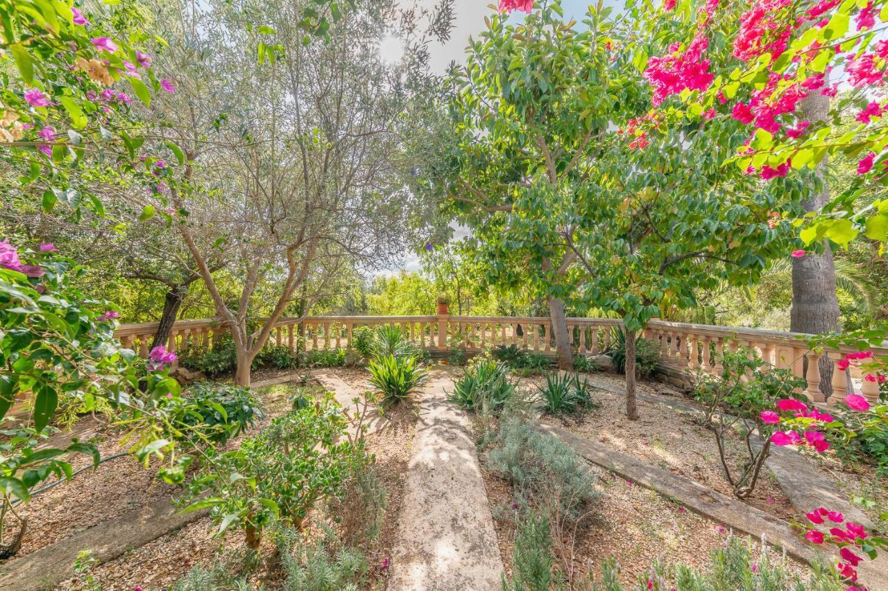 Ferienhaus Finca Can Lluc